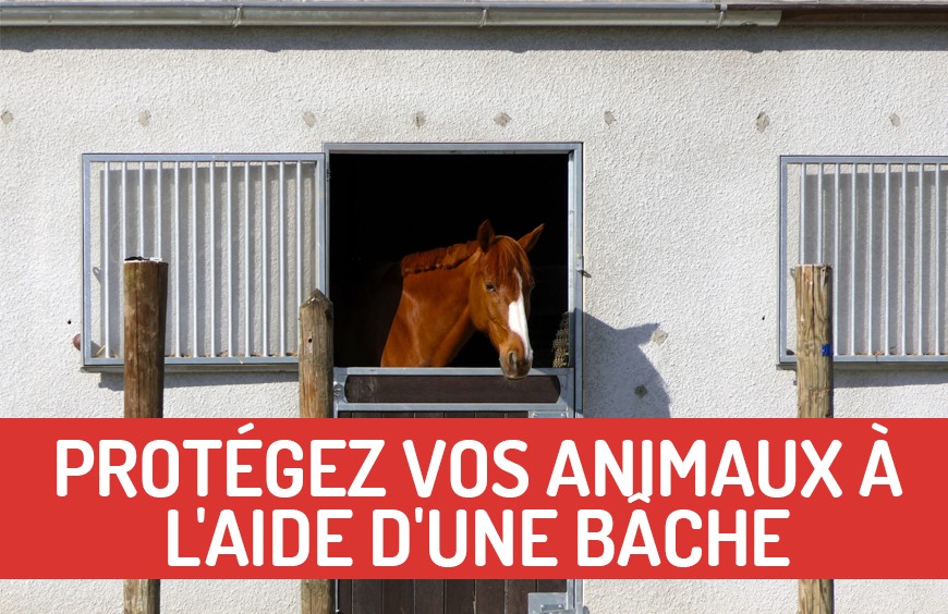 Protégez vos animaux à l'aide d'une bâche